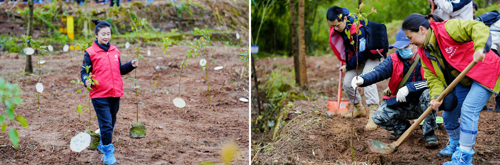 860f085565a6f1f5c732262cb65527c1.jpg 860f085565a6f1f5c732262cb65527c1.jpg